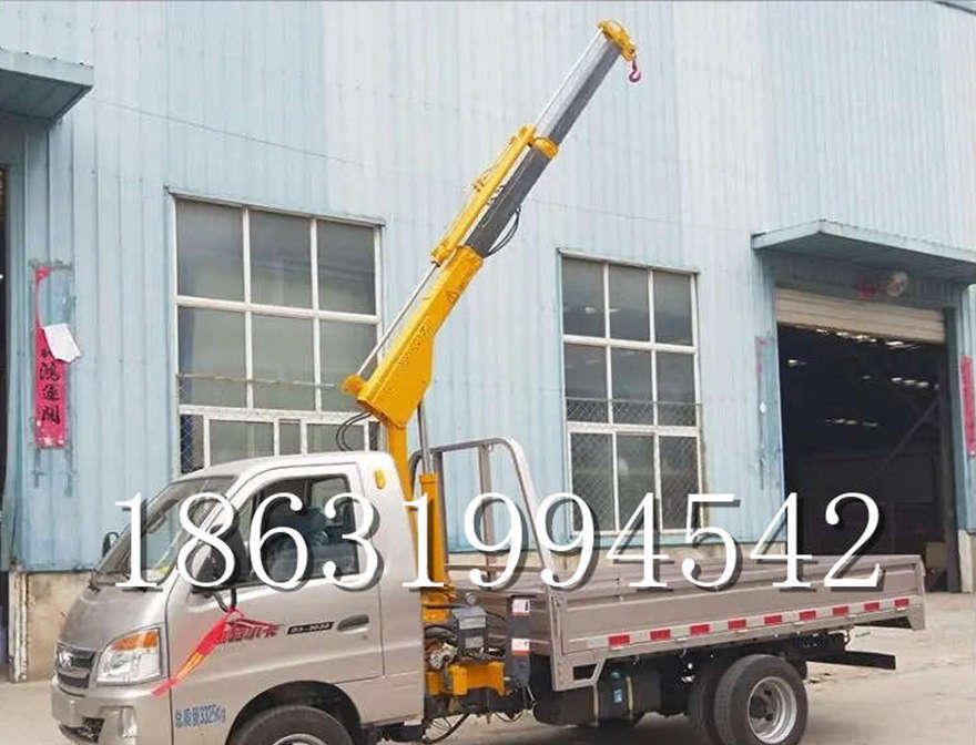 平度市车载吊机车载吊机室内吊机1吨电动吊机移动出租小型悬臂吊机